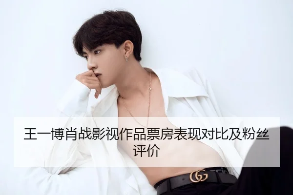 王一博肖战影视作品票房表现对比及粉丝评价