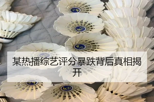 mou-re-bo-zong-yi-ping-fen-bao-die-bei-hou-zhen-xiang-jie-kai-2-115.jpg